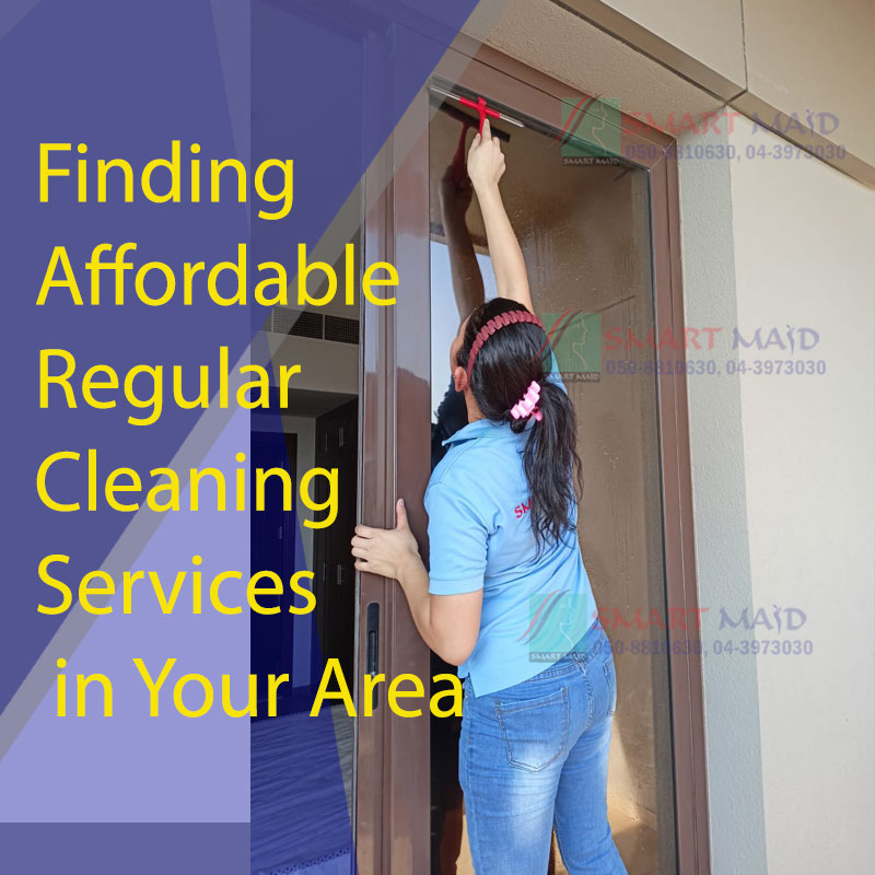 Regular Cleaning Services